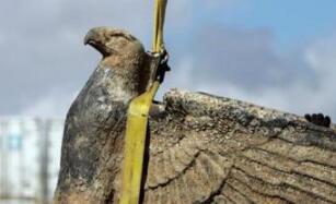 乌拉圭法院判决拍卖纳粹雕塑老鹰